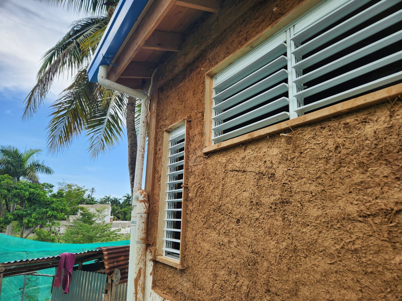 Esquina exterior con palmera y bajante de agua