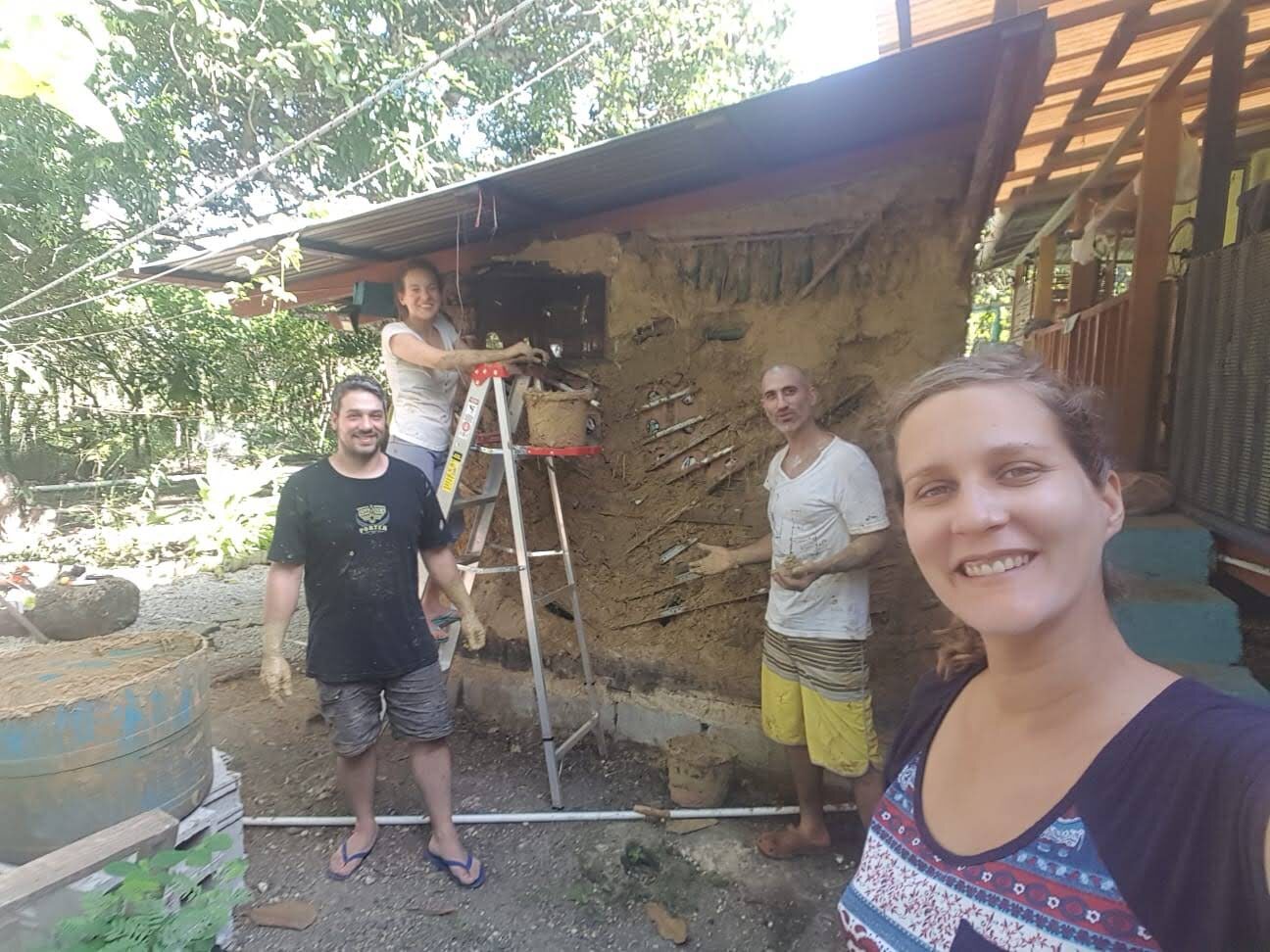 Plátanos colgados en la estructura de quincha